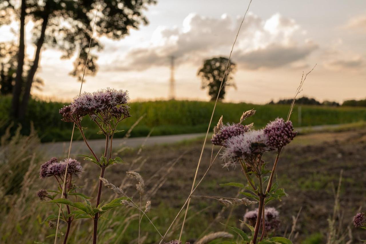 Villa Veld En Velo Bree Esterno foto